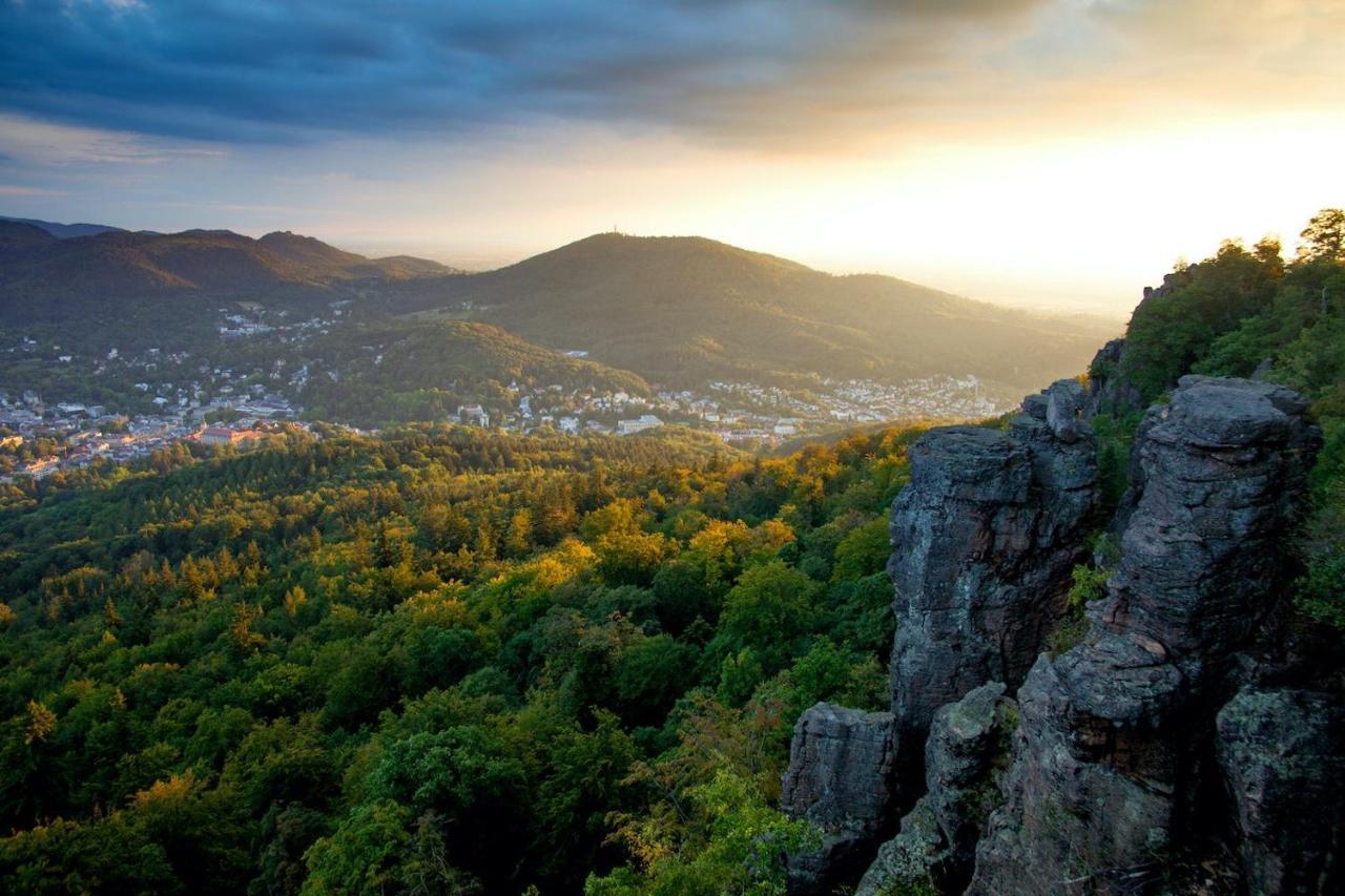 Eckberg Apartment Near City Centre & Nature Baden-Baden Zewnętrze zdjęcie