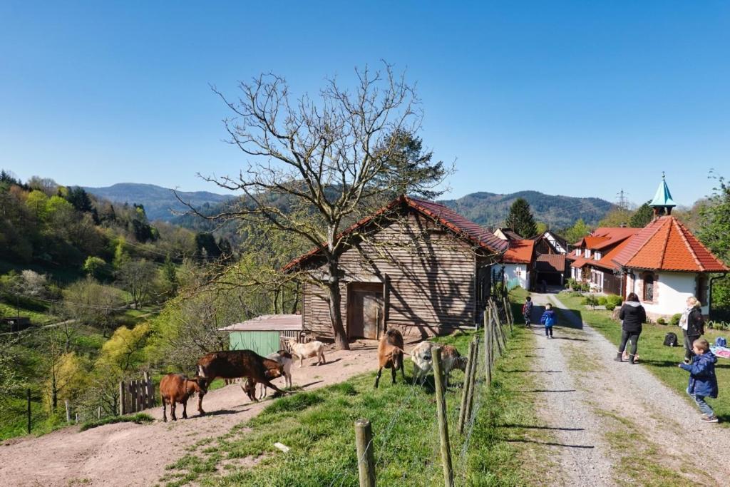 Eckberg Apartment Near City Centre & Nature Baden-Baden Zewnętrze zdjęcie